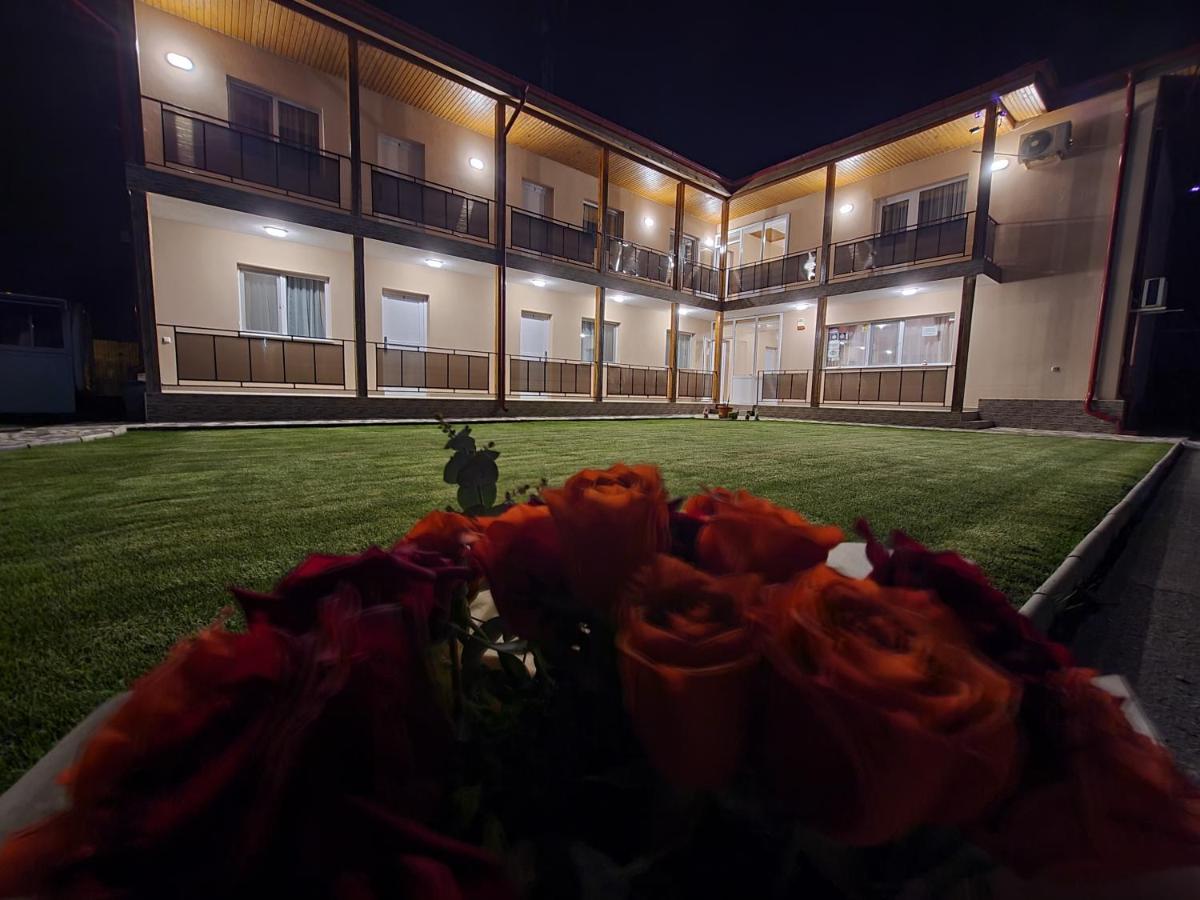 Vila Sophia Vama Veche Εξωτερικό φωτογραφία